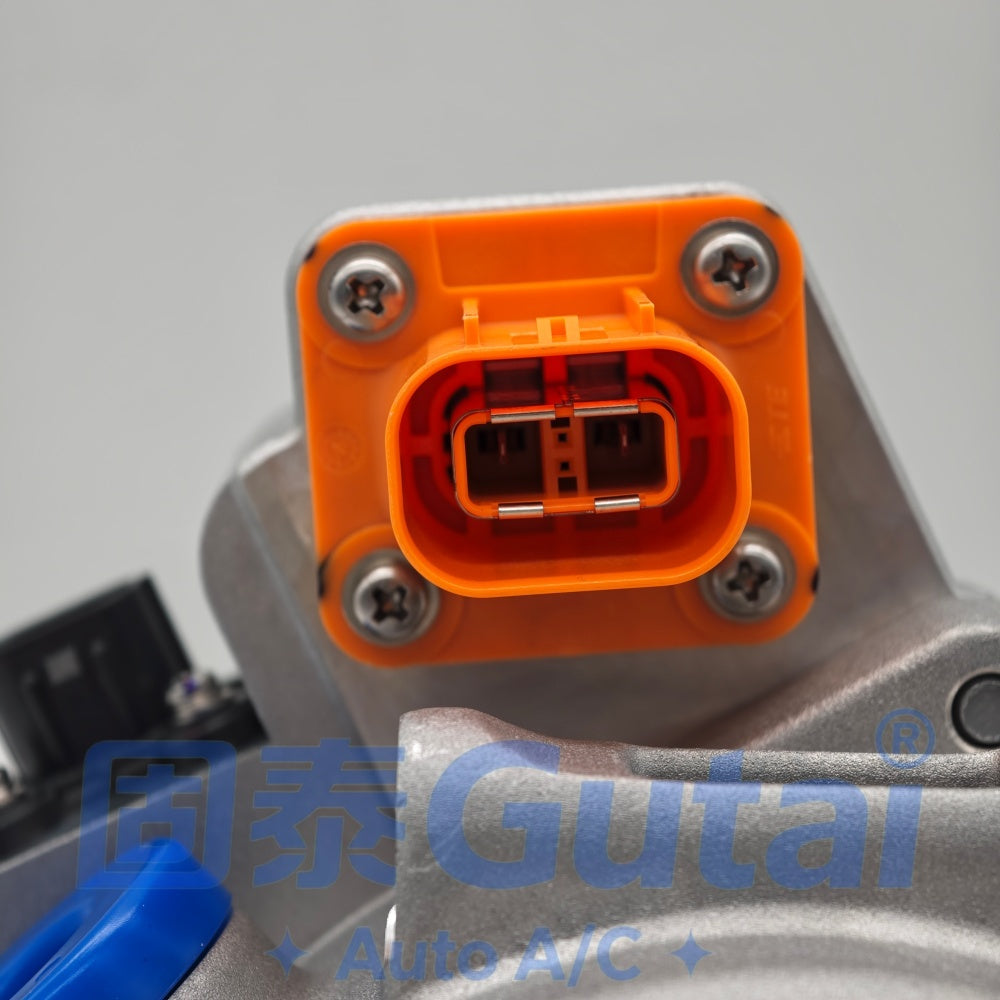 2024 Leapmotor C11 / C01 A/C Compressor
