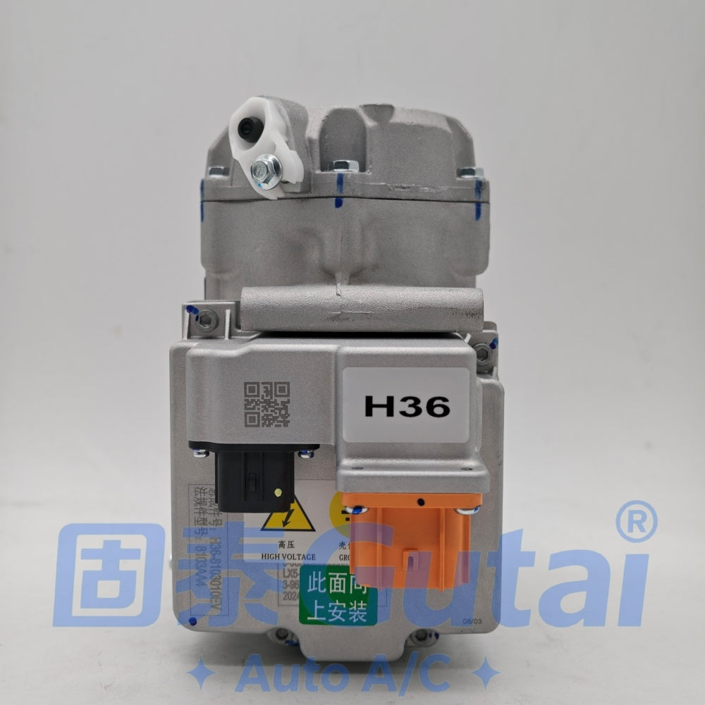 Chery Jiangtun EV A/C Compressor