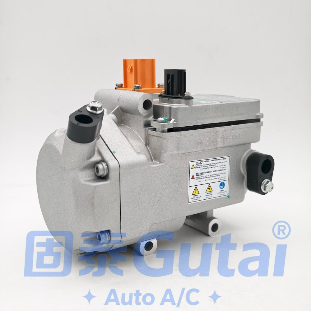 2020 Leapmotor T03 A/C Compressor